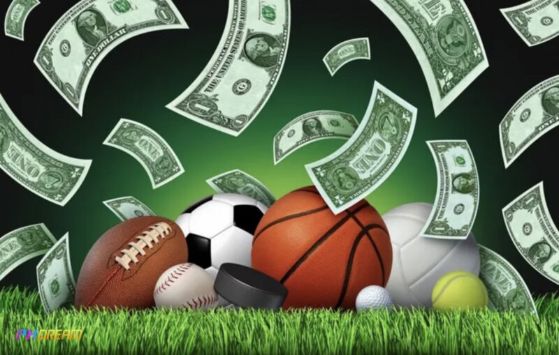 Phdream Sports - Live Betting Experience During Matches